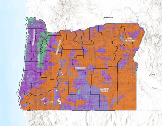 draft map