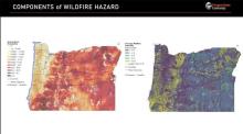 Hazard map